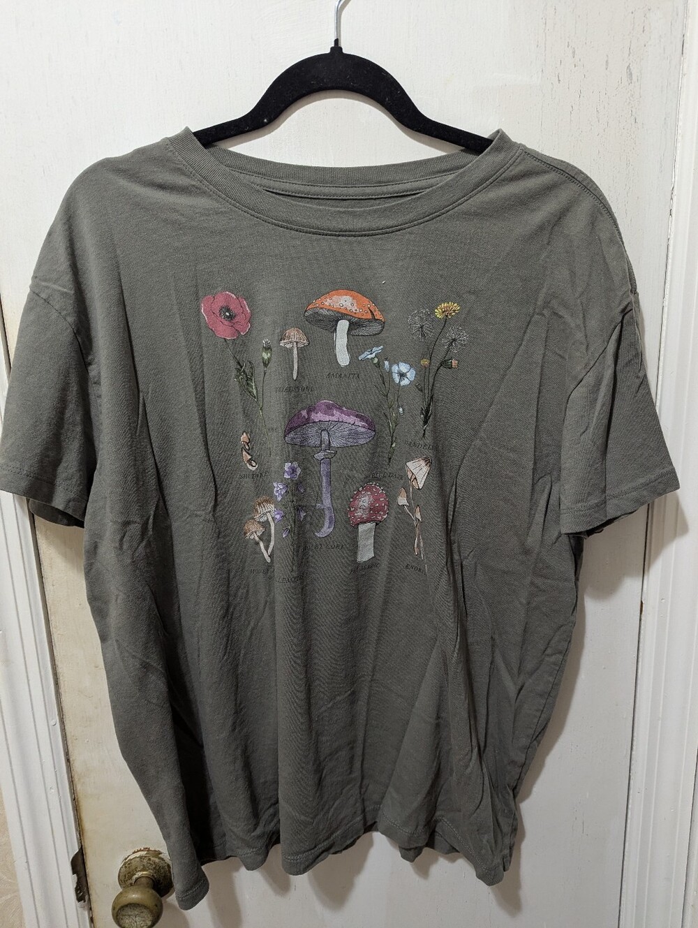 Doe 2XL Mushroom Garden Short Sleeve Graphic Tee - Olive Green